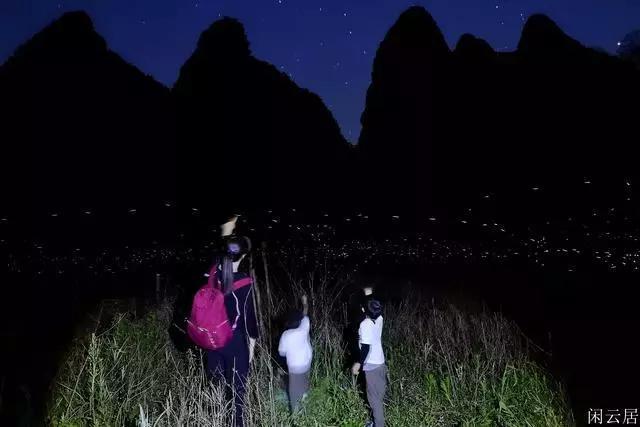 植物大战僵尸17